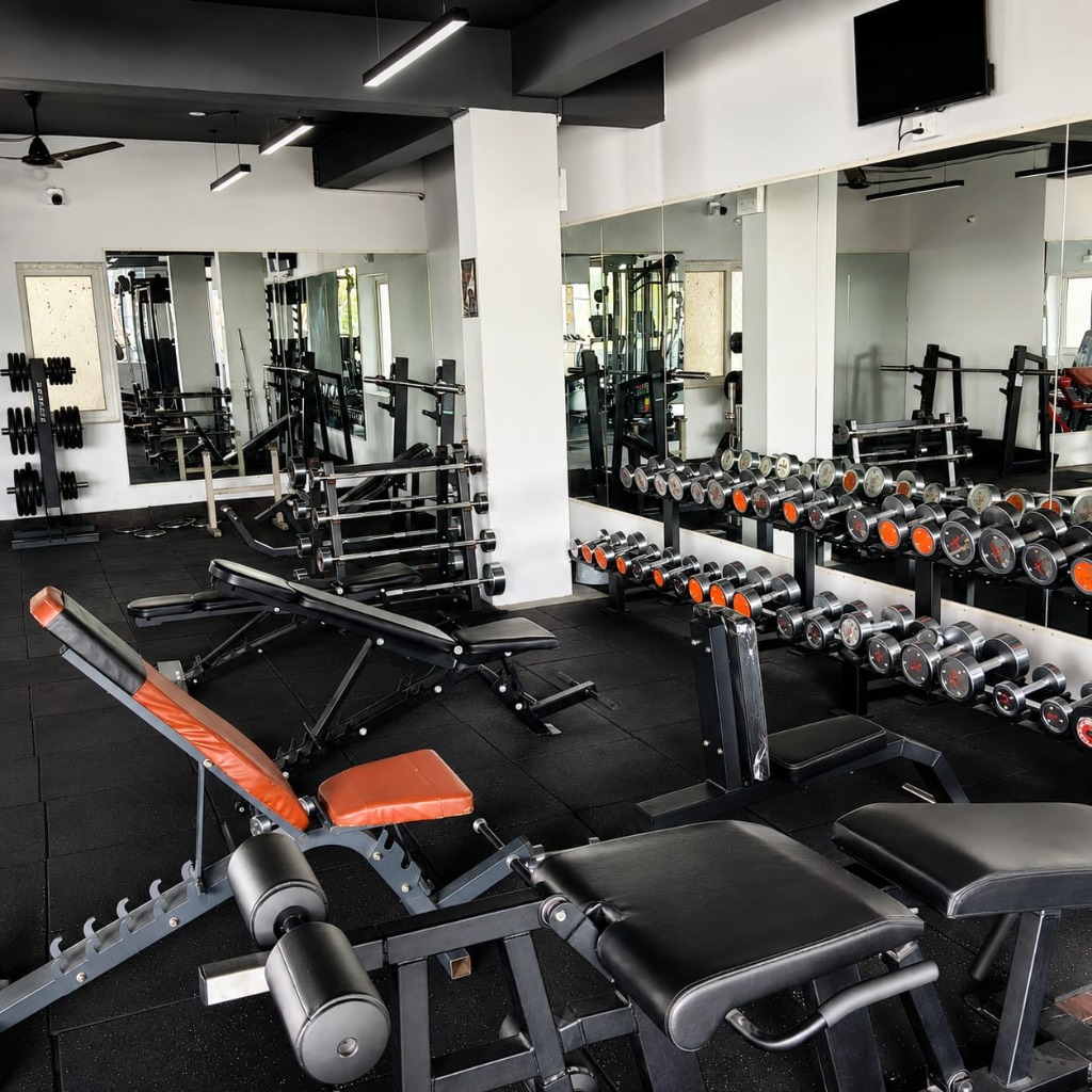 Free Weights Benches